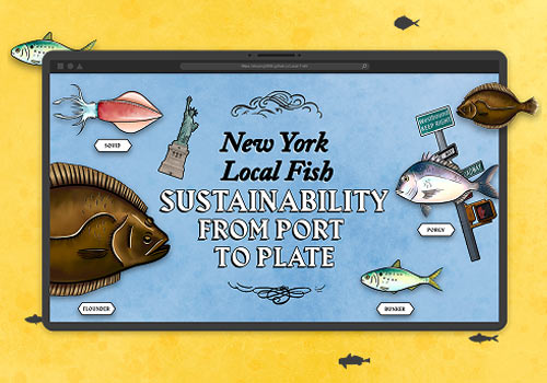 NY Digital Awards - New York Local Fish Sustainability: From Port to Plate