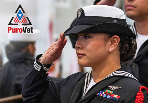 NY Digital Winner - Zbra Studios - PuroClean’s PuroVet Microsite