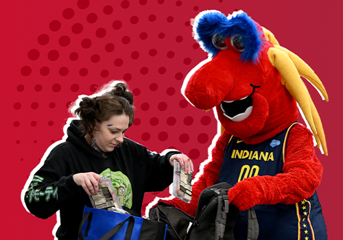 NY Digital Winner - Pacers Sports and Entertainment - Indiana Pacers & Fever Foundation Website